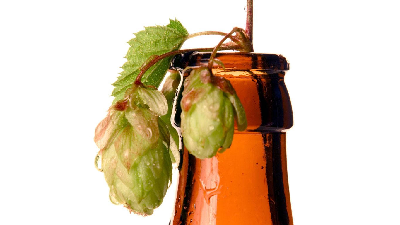 Hopfen Bier