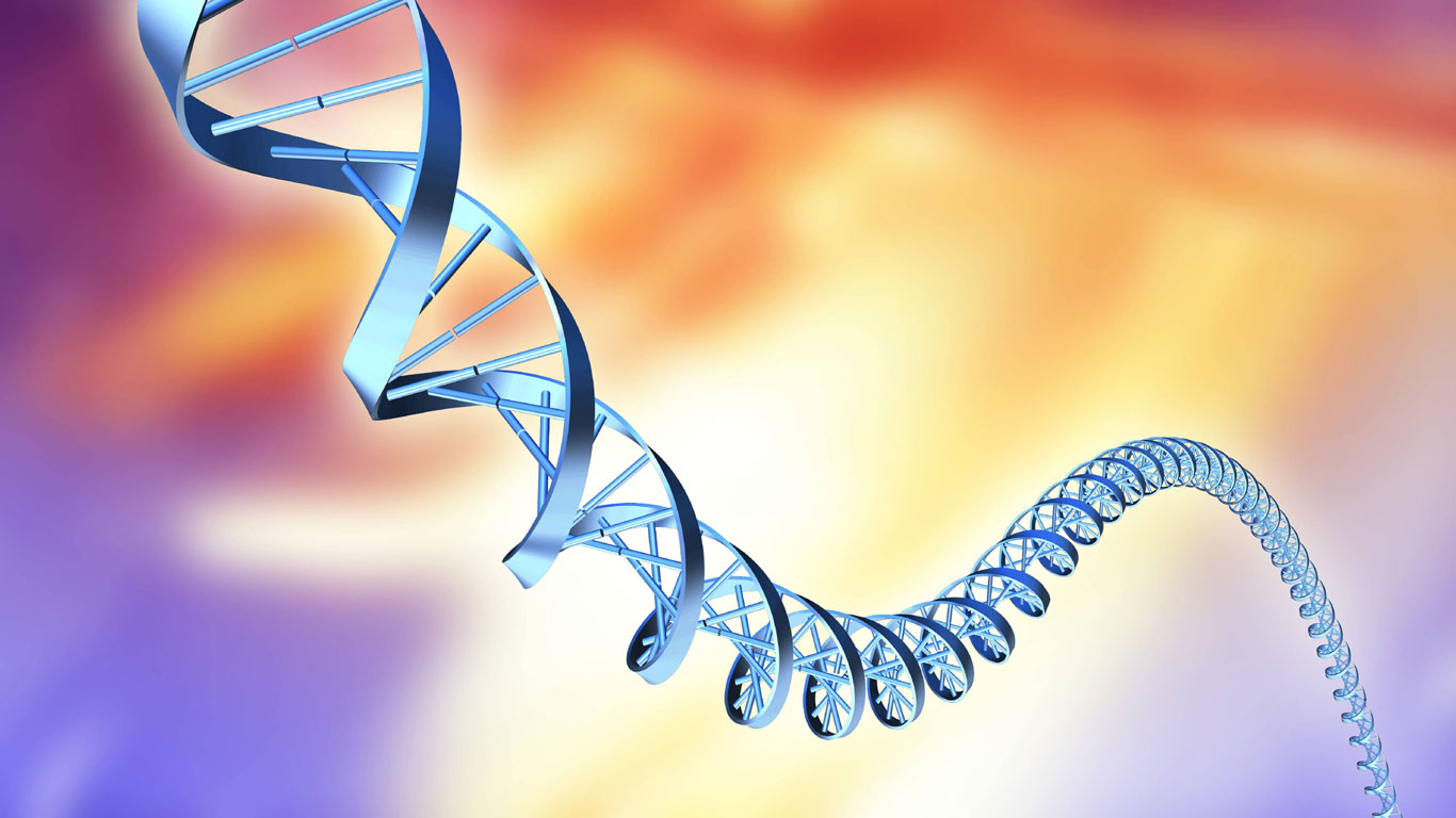 DNA