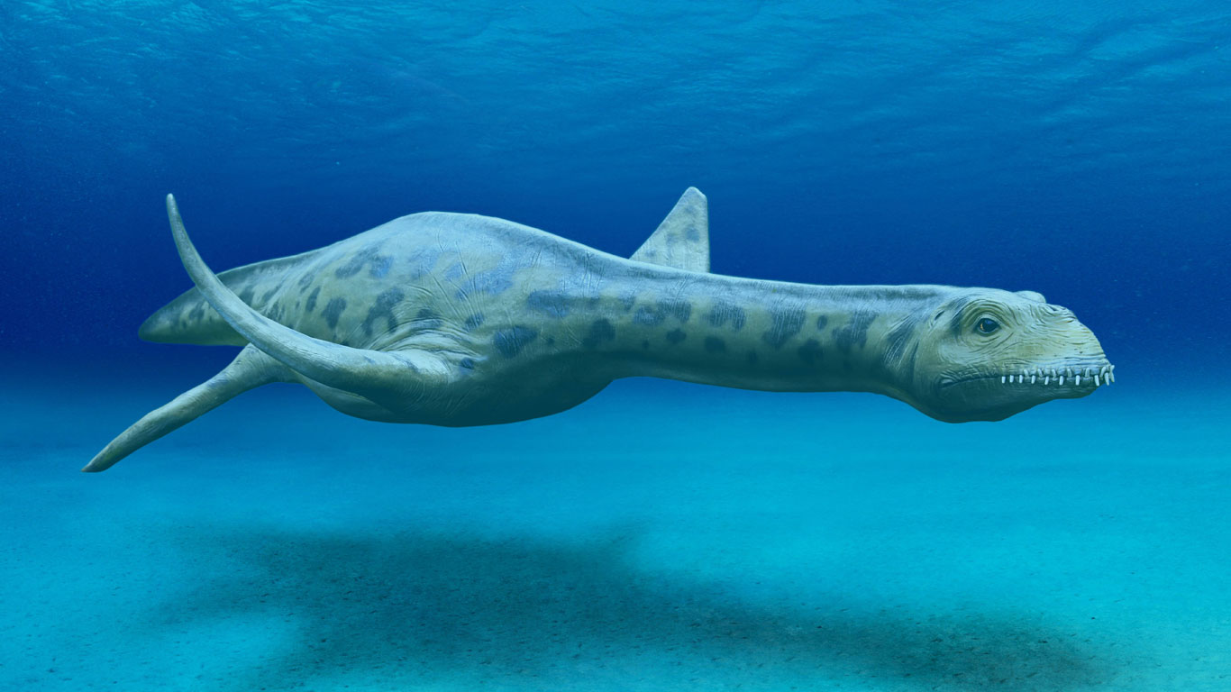 Ist Nessie ein Dino?