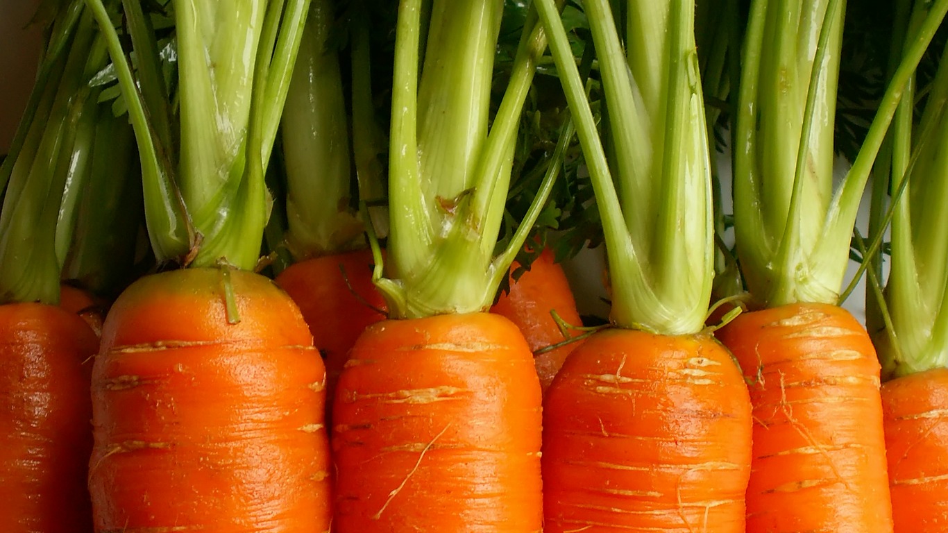 Frischer Indoor-Garten: So wird die Küche zum Gemüseparadies - Welt der